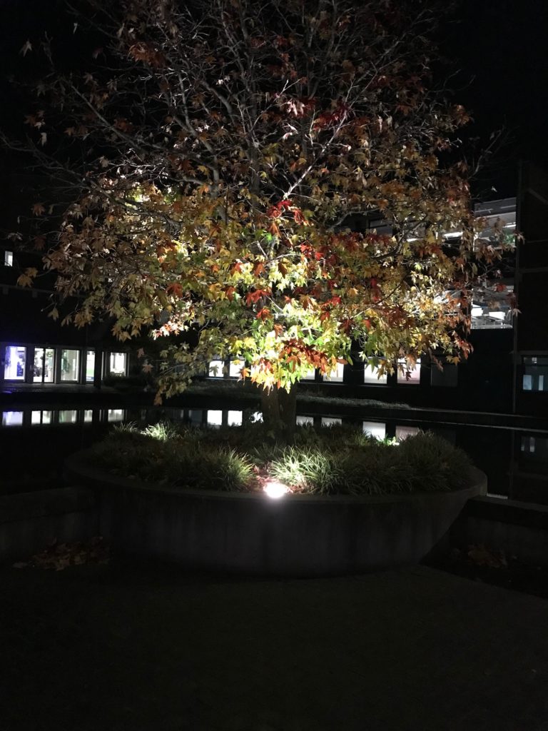 Heerhugowaard – Stadhuis Heerhugowaard – Stadhuis