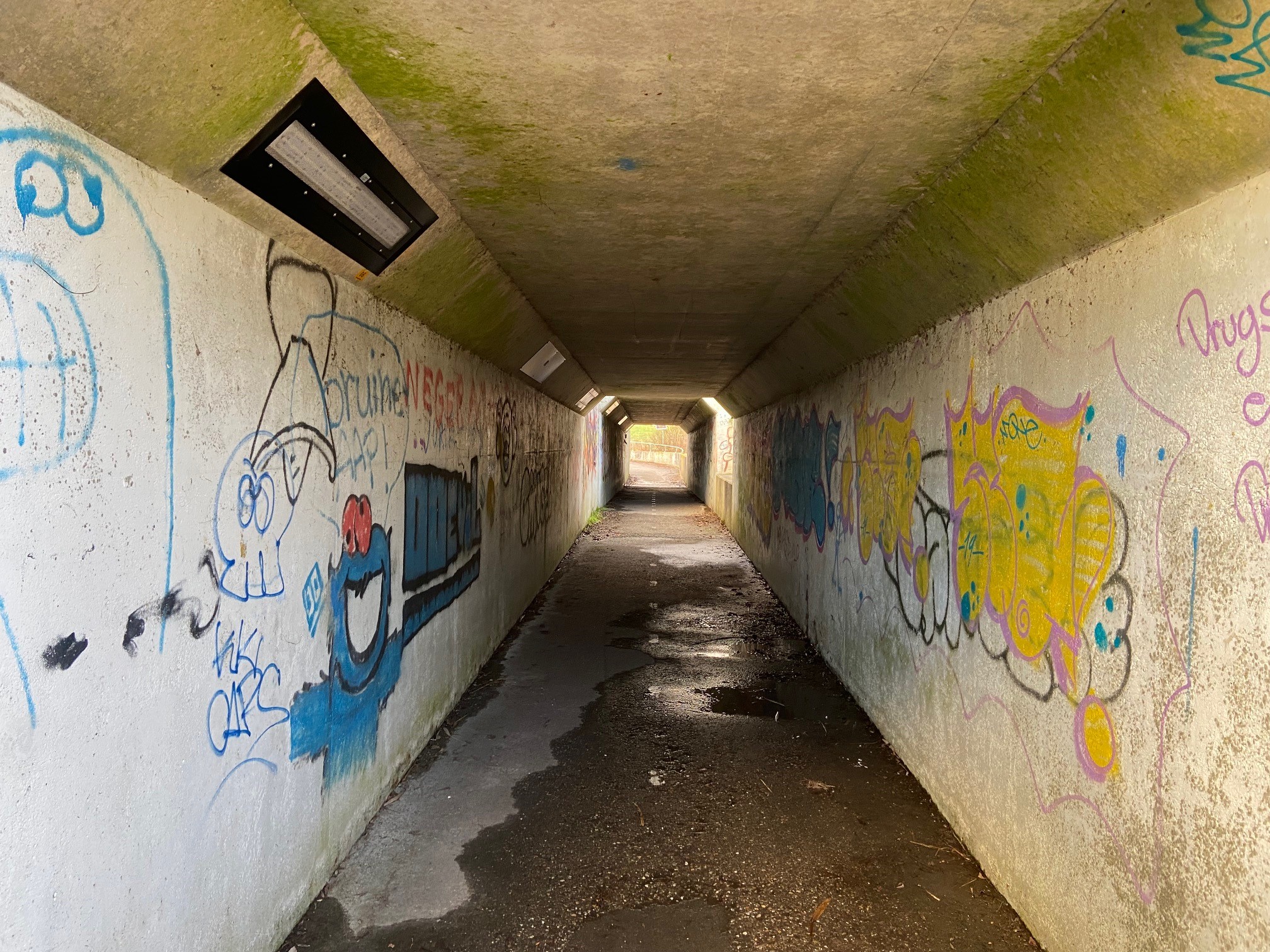 fot0 2