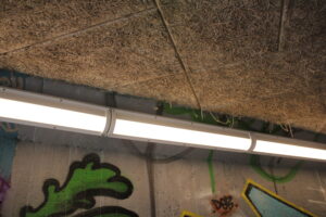 IMG_2402
